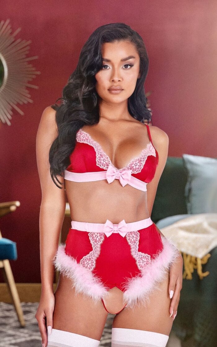 2pc Lace & Satin Marabou Bra Set