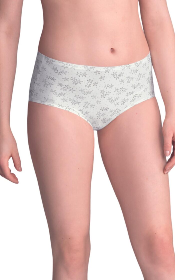 Anita Essentials Art High Waist Brief - Crystal - L/XL