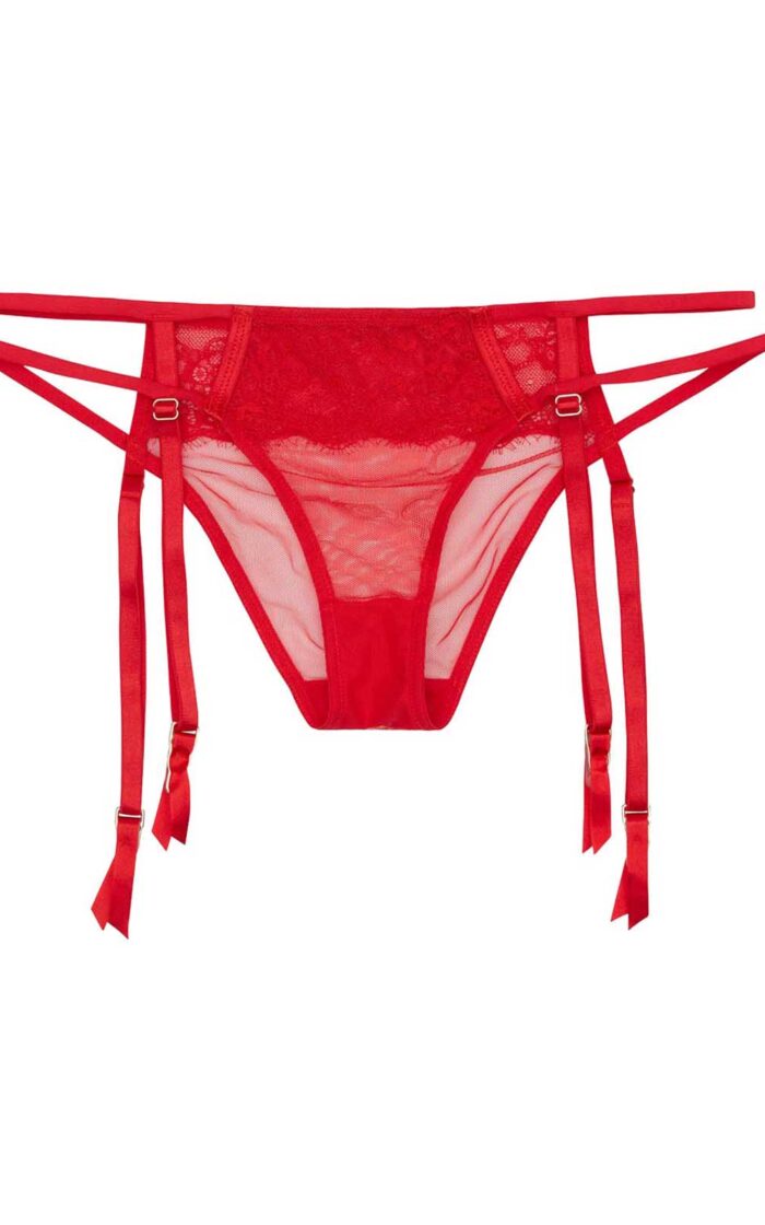 Charlotte McKinney Cara Garter Belt Panties
