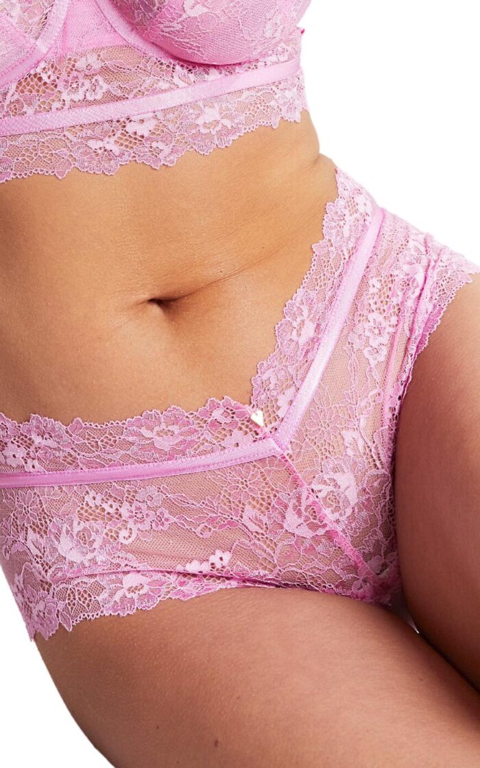 Cleo by Panache Selena Hipster Brief - Wild Rose - XS - 8