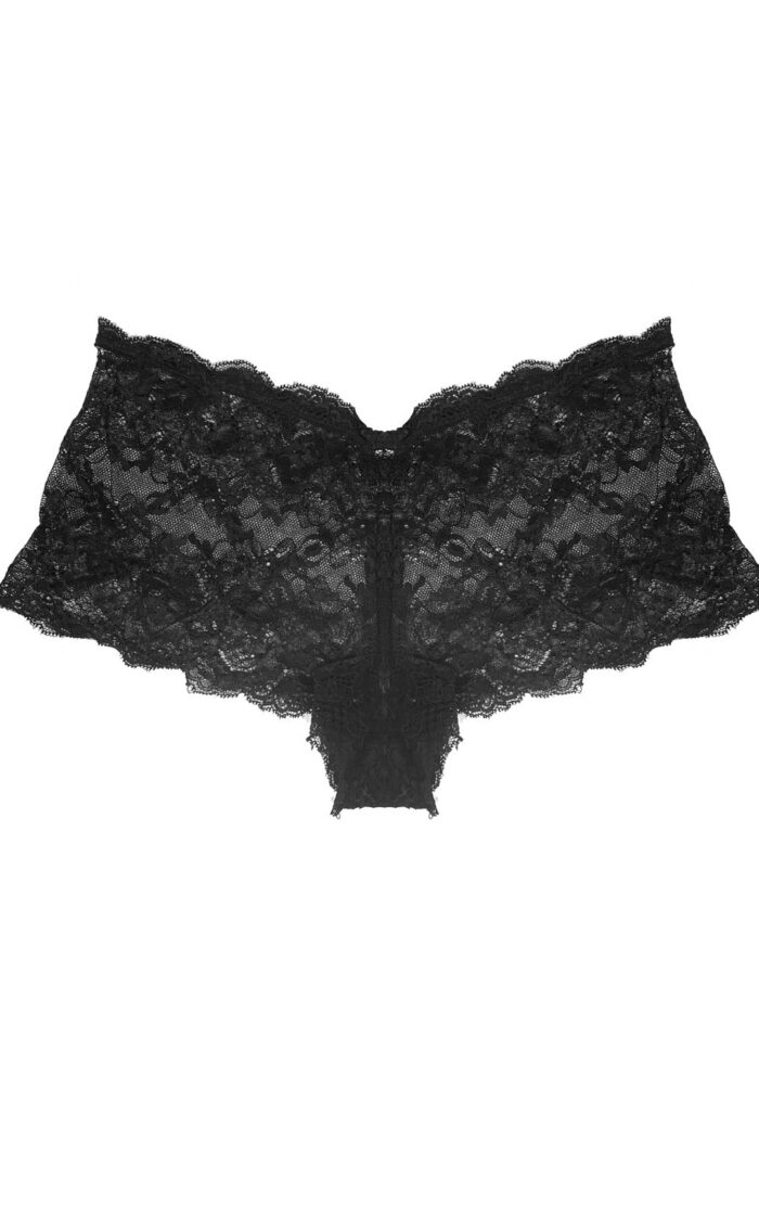 Culotte Lace Panties
