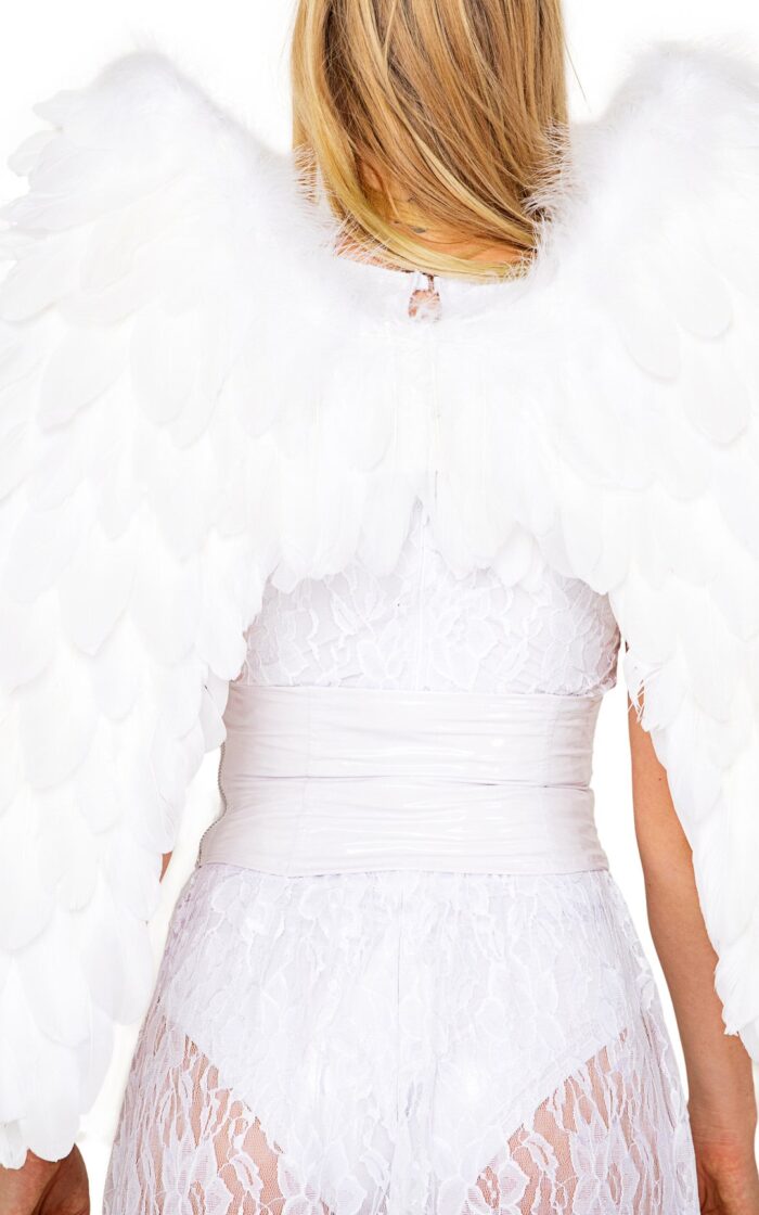 Delux Feathered Wings