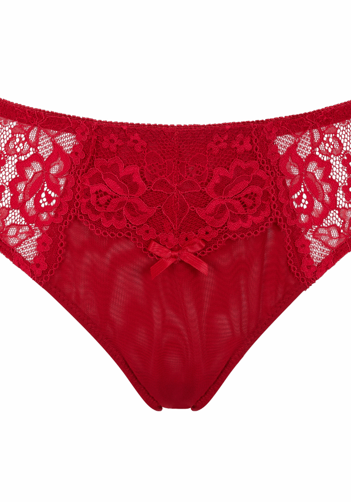 Little Women Scarlett Brief