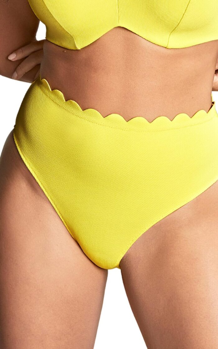 Panache Spirit High Waist Bikini Brief - Sunshine - XS - 8
