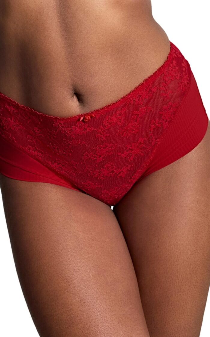 Panache Tango Lace Deep Brief - Scarlet - XS - 8