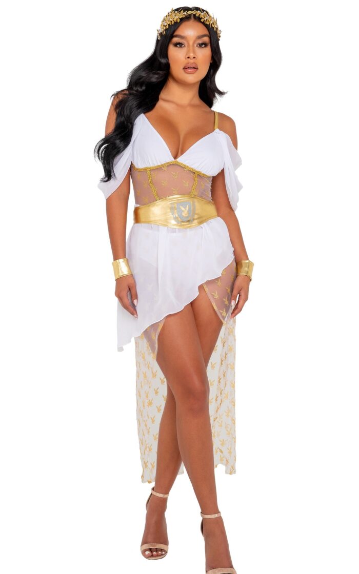 Playboy Goddess Costume
