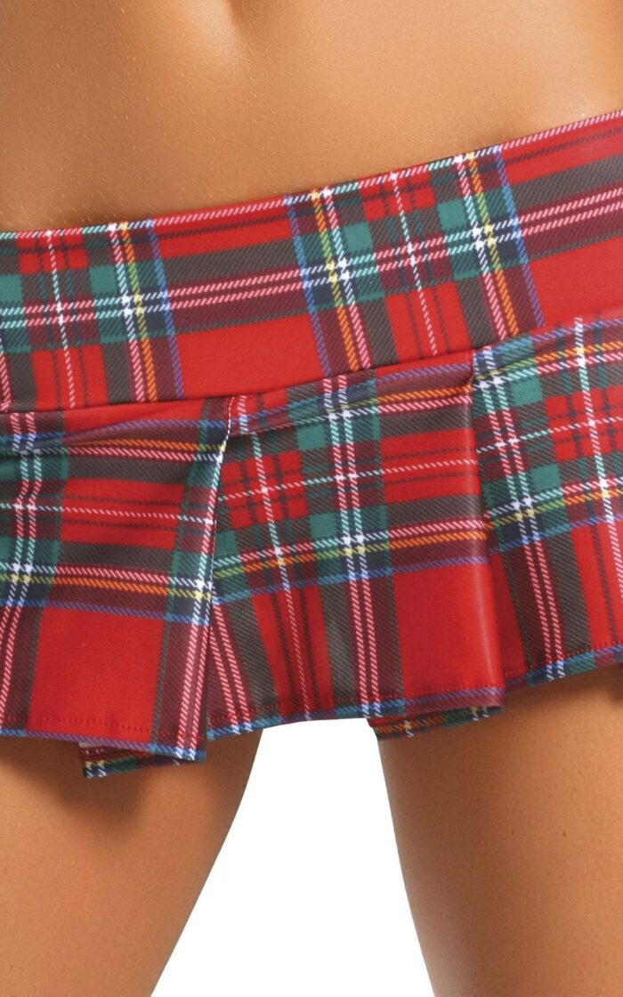 Pleated Red Plaid School Girl Skirt