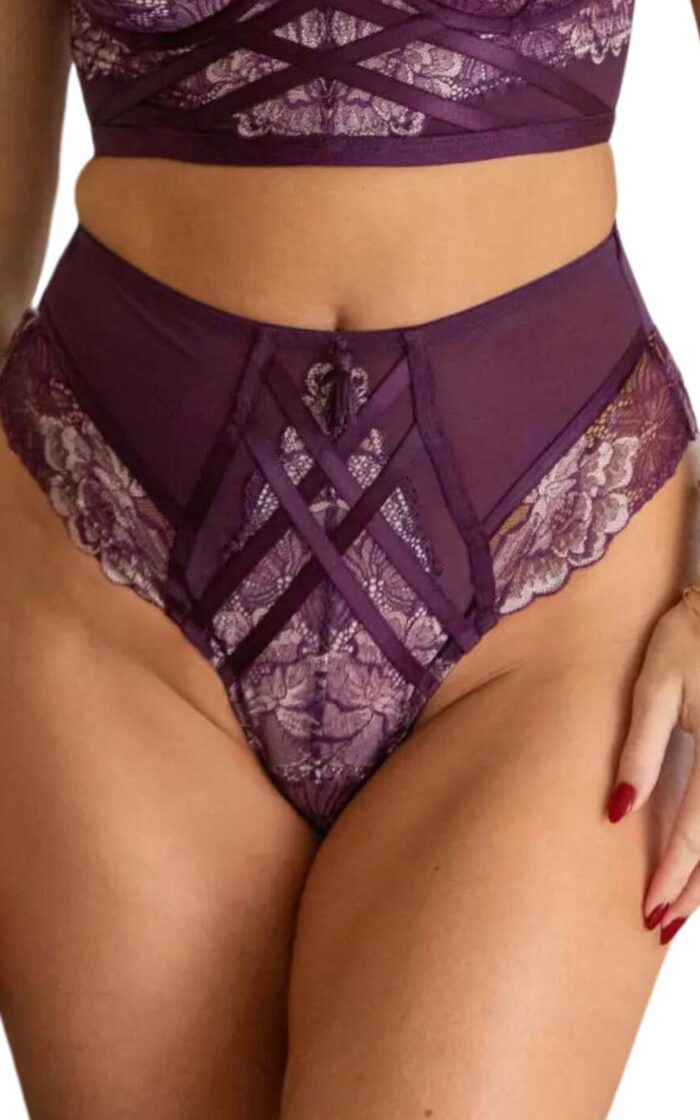 Pour Moi After Hours High Waist Brief - Blackberry/Pink - XS - 8