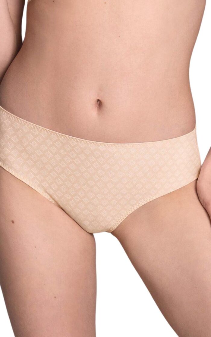 Rosa Faia by Anita Twin Art High Waist Brief - Smart Rose