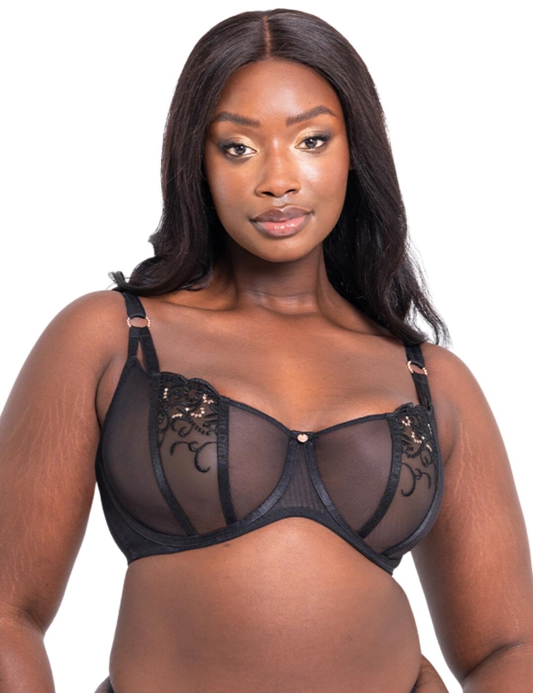 Scantilly by Curvy Kate Ornate Balcony Bra - Black - 32F