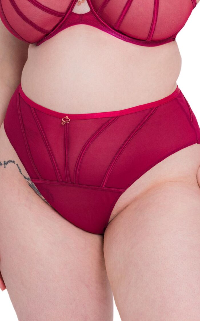 Scantilly by Curvy Kate Senses High Waist Brief - Cherry - S - 10