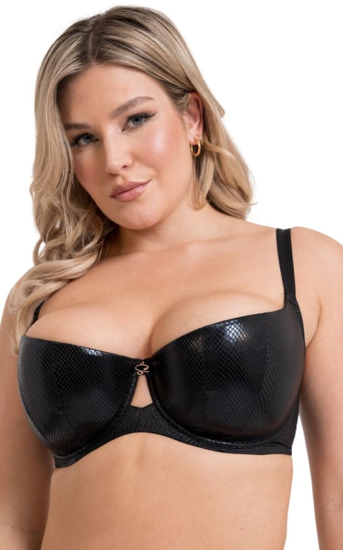 Scantilly by Curvy Kate Serpent Padded Half Cup Bra - Black - 32G
