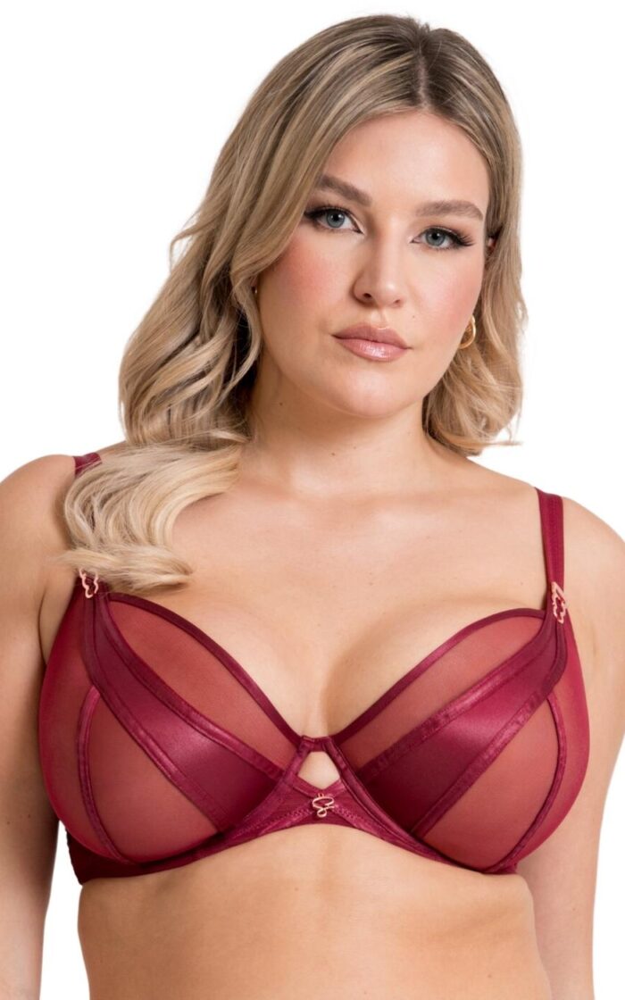 Scantilly by Curvy Kate Suspense Plunge Bra - Sangria - 30DD