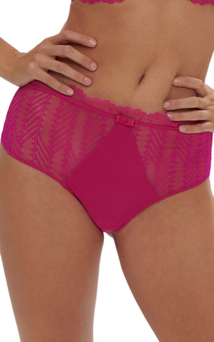 Simone Perele Canopee Retro Brief - Hibiscus Pink - M - 12