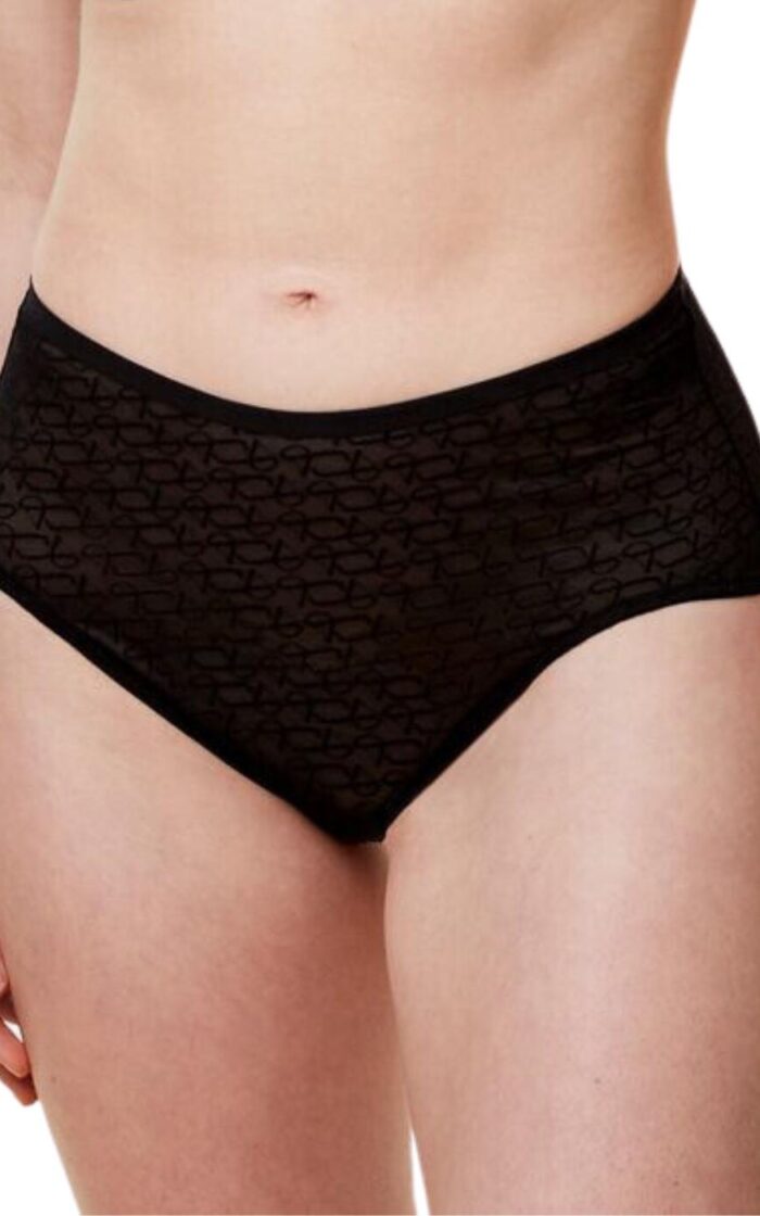 Triumph Signature Sheer Maxi Brief - Black - S - 10